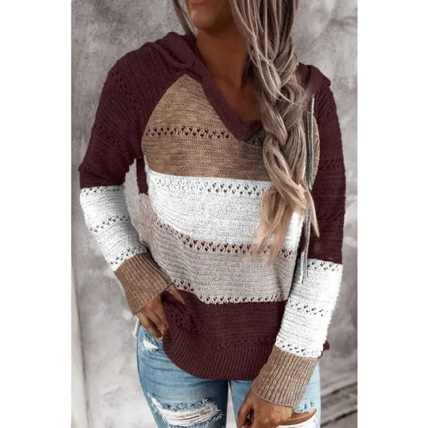 Maglione con cappuccio Patchwork da donna maglione lavorato a maglia a maniche lunghe Casual maglioni Pullover eleganti a righe autunno inverno Plus Size 5