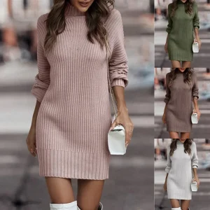 Polo a maniche lunghe alla moda/maglione con collo alto Abito da donna Autunno/Inverno Colore puro Commercio transfrontaliero Amazon 1