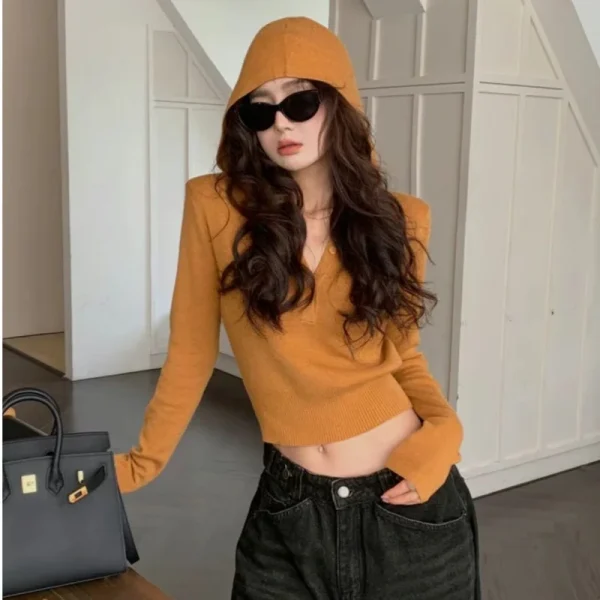 Felpe con cappuccio da donna sexy con scollo a V T-shirt lavorate a maglia 2025 Casual Autunno Slim Crop Top camicetta lavorata a maglia Top camicetta a maniche lunghe Pullover 1