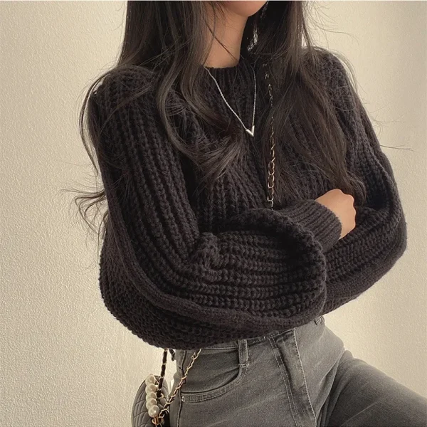 Maglione lavorato a maglia girocollo autunno inverno donna sciolto vita pigra cinched stile corto trendy materiale di alta qualità vestibilità comoda 4