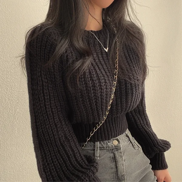 Maglione lavorato a maglia girocollo autunno inverno donna sciolto vita pigra cinched stile corto trendy materiale di alta qualità vestibilità comoda 5