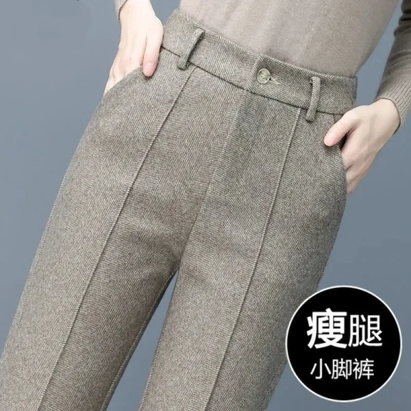 Pantaloni di lana da donna 2024 Autunno Inverno in pile Pantaloni stile harem dritti eleganti Versione coreana Pantaloni casual blazer caldi femminili 6